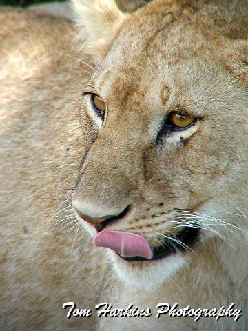 Umm this photographer would taste good.jpg